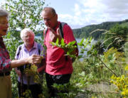 Im Juli 2012 wanderten wir bei der Bleilochtalsperre - Siegfried Hirschmann erklärt die Pflanzen