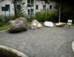Die Gesteine des Frankenwalds