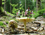 2013 Rast bei Bischofsgrün 
